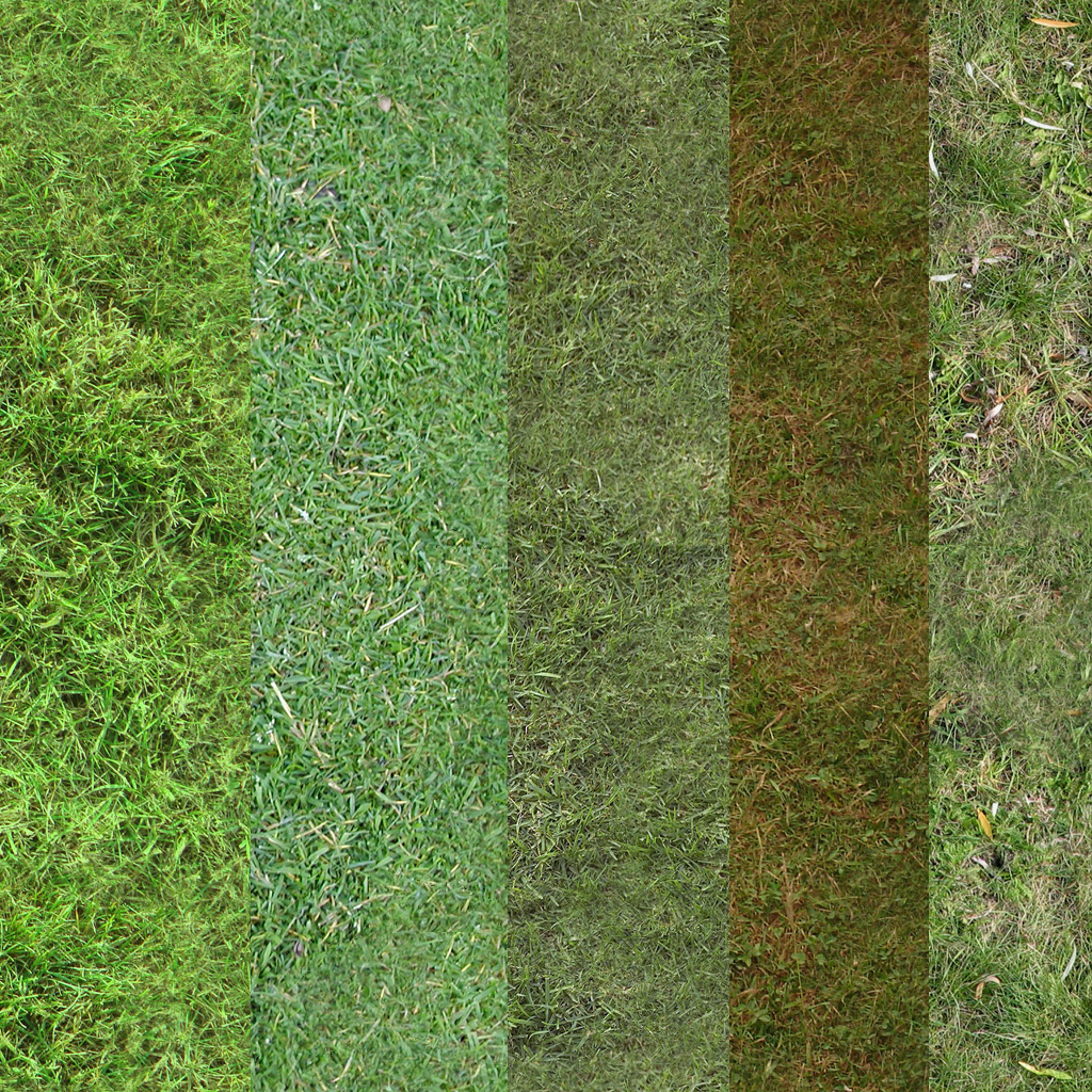 Grass Textures