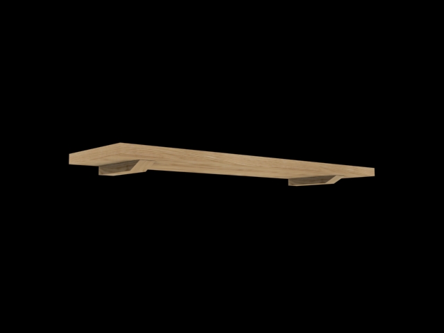 hinged shelf 1