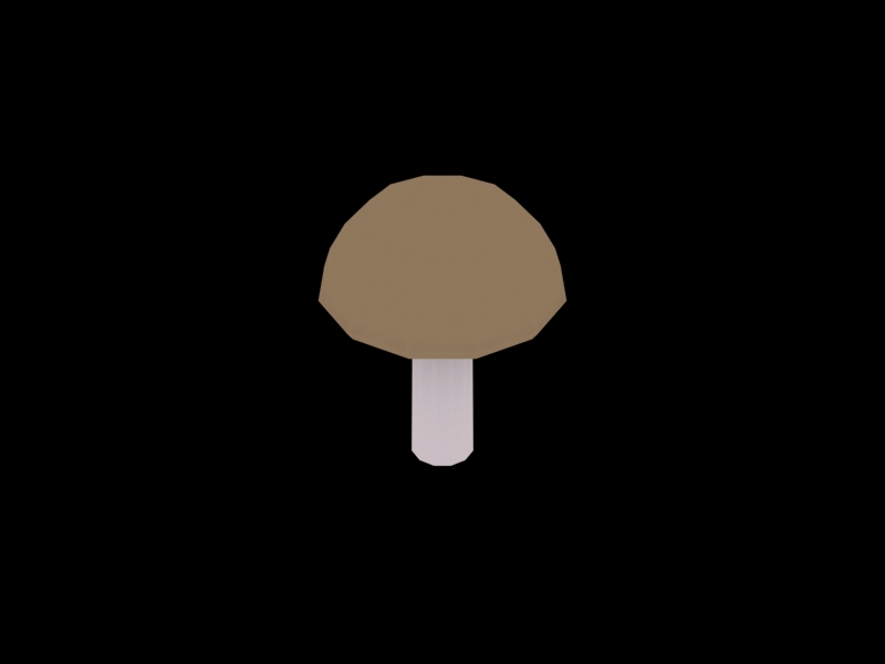 Boletus 2