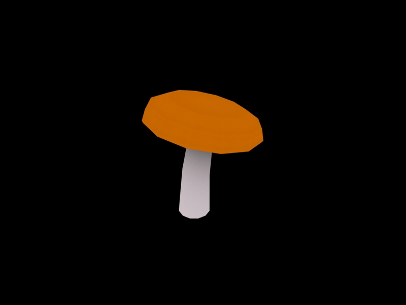 Boletus 4