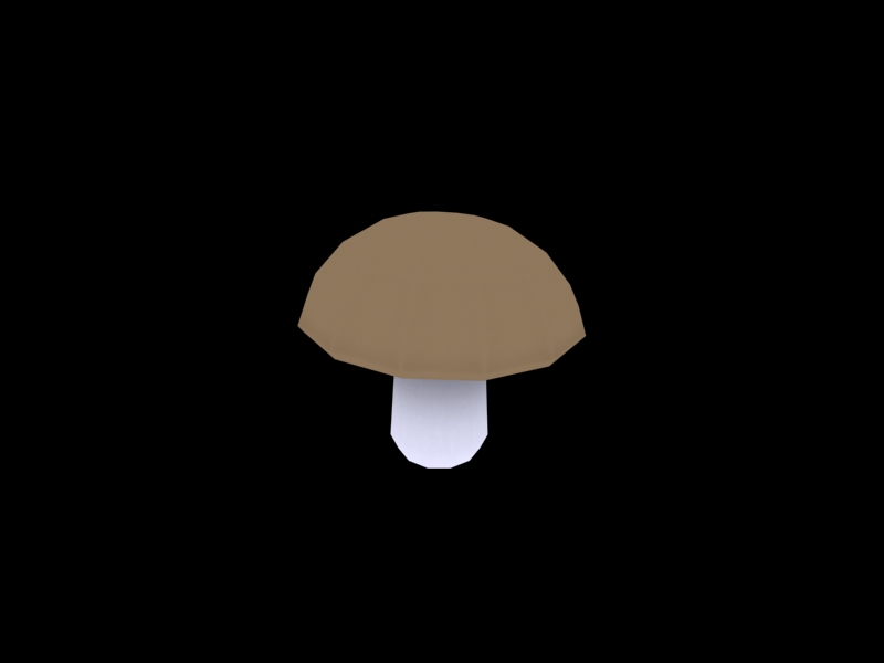 Boletus 7