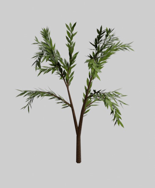 Tree 3