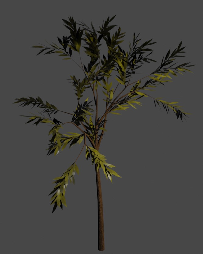 Tree 4