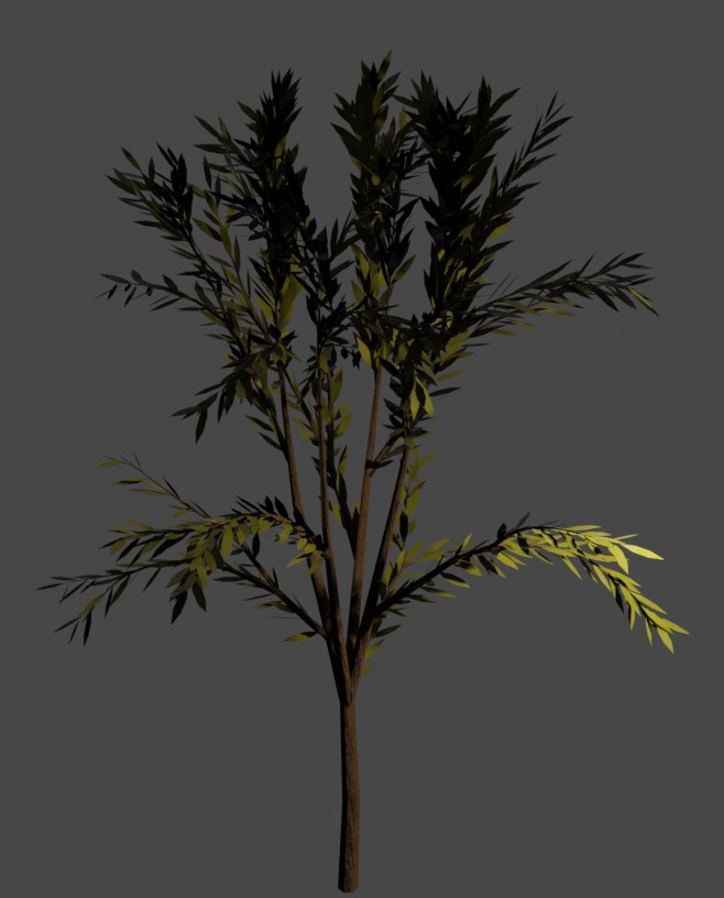 Tree 5