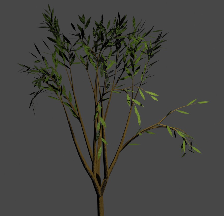 Tree 6