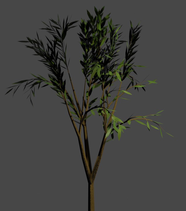 Tree 7