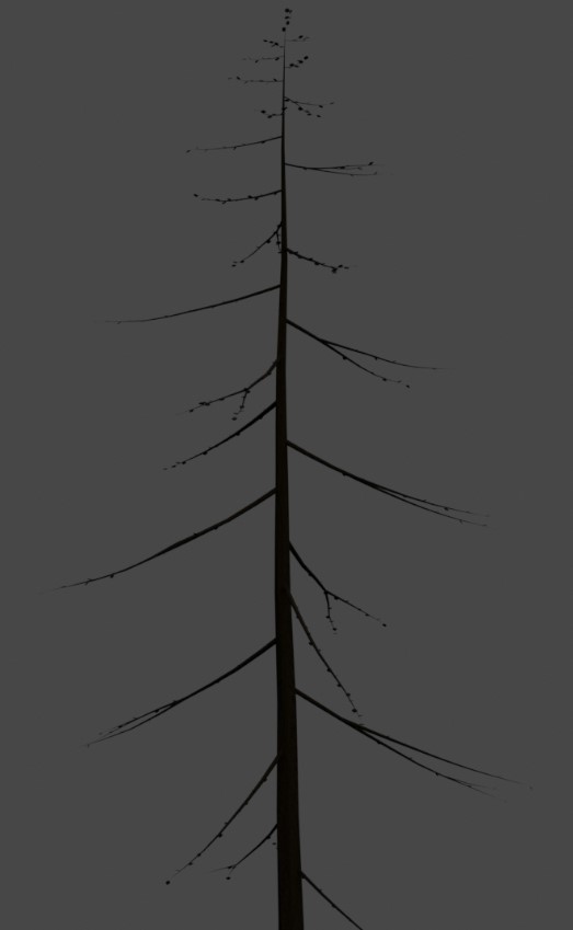 Tree 8