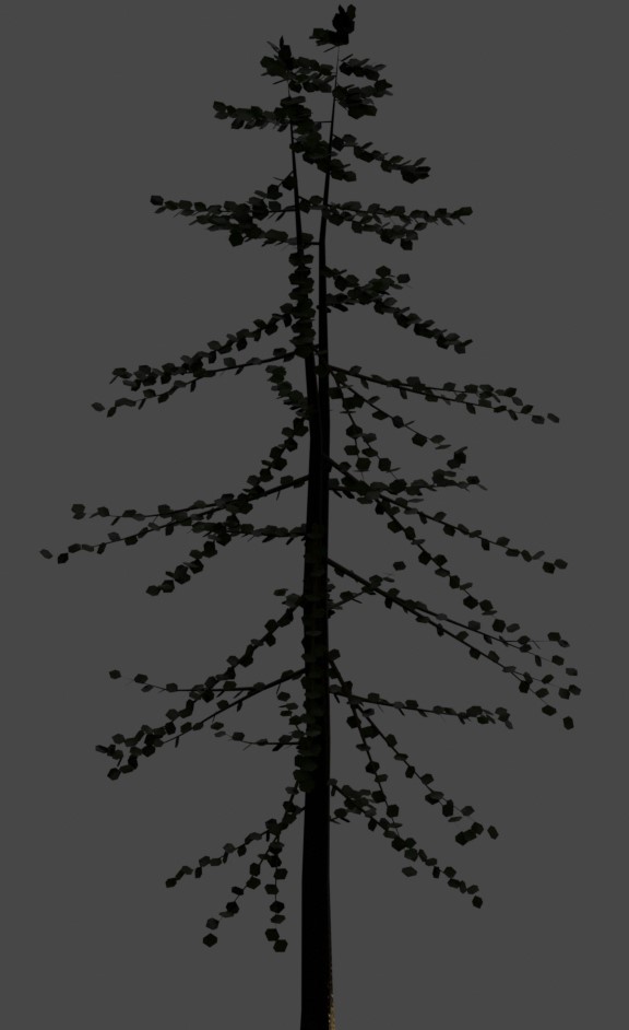 Tree 9
