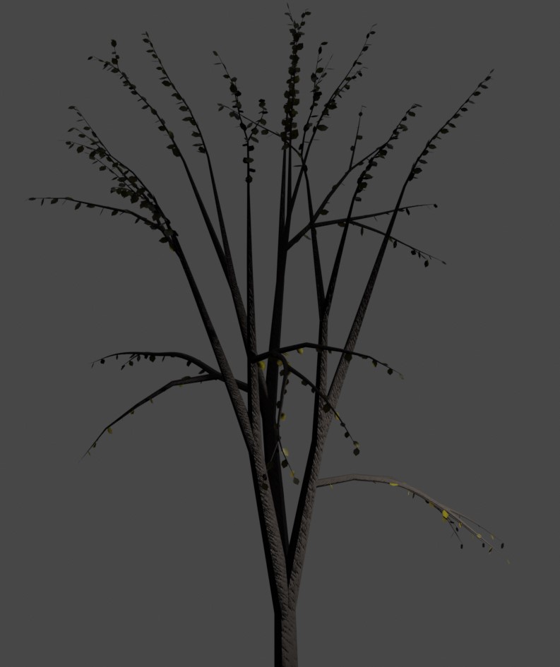 Tree 10