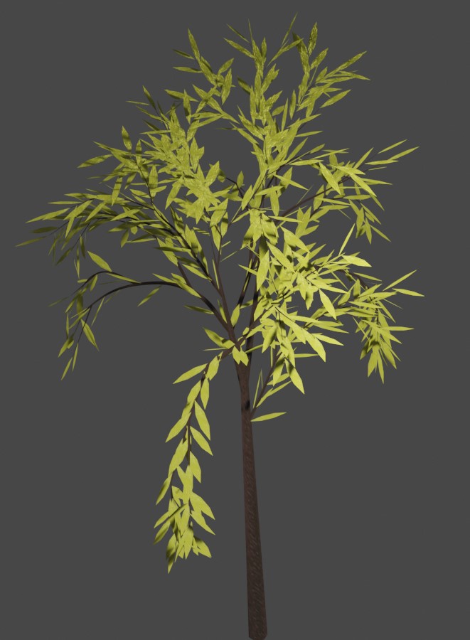Tree 13