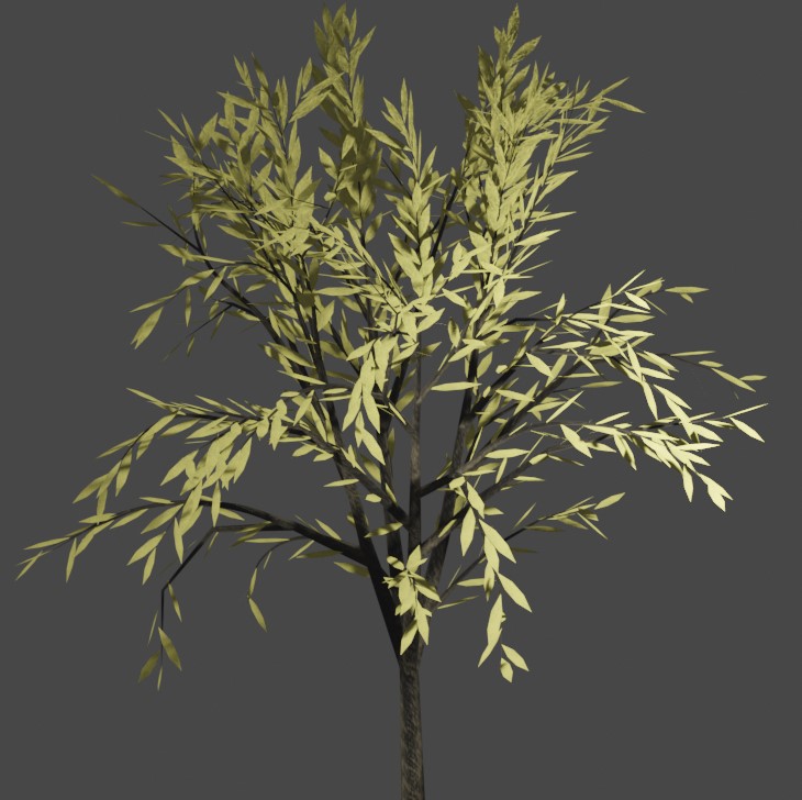 Tree 14