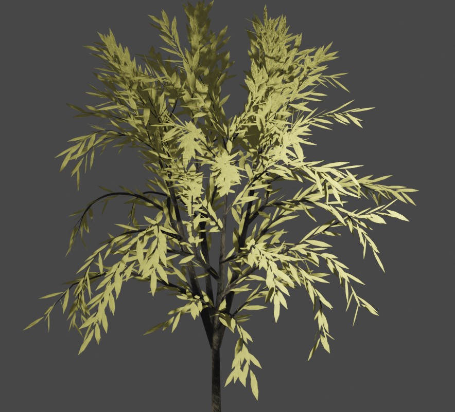 Tree 15