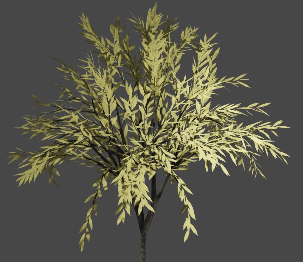 Tree 17