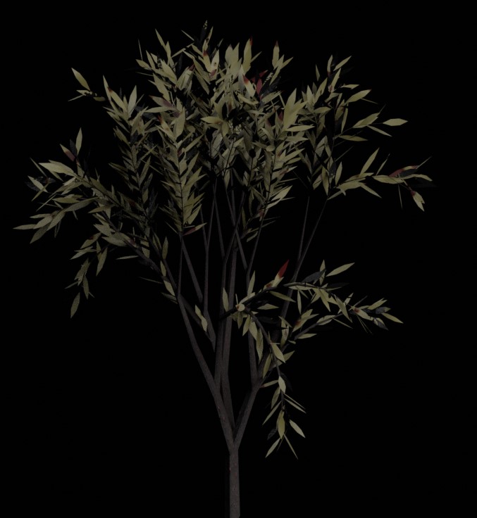  Bloody tree