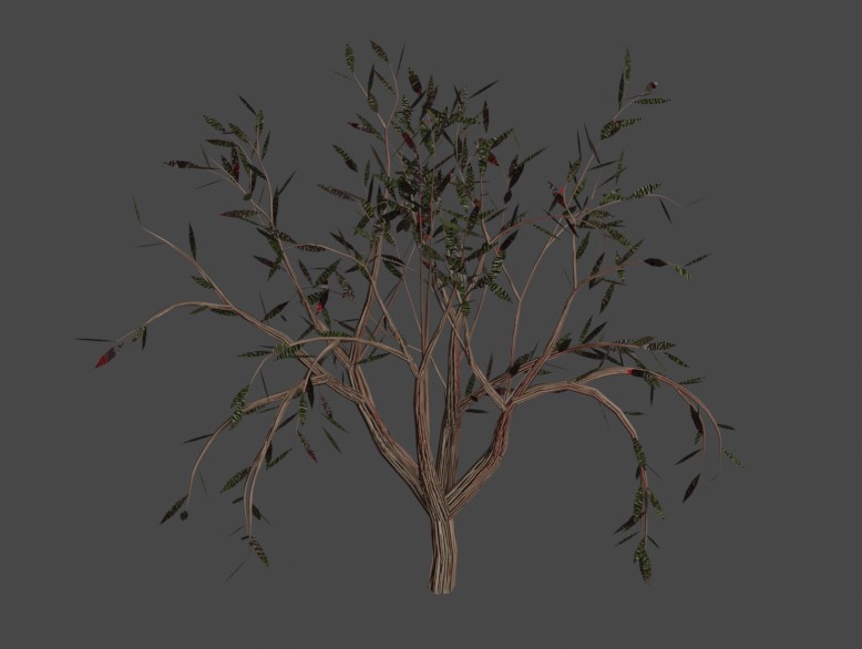 Bloody tree 8
