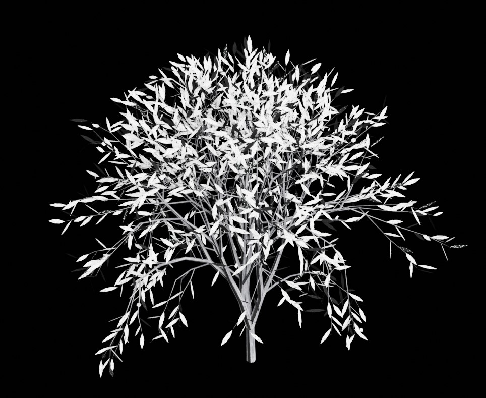 Tree in the snow 4