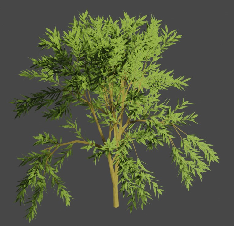 Tree 27