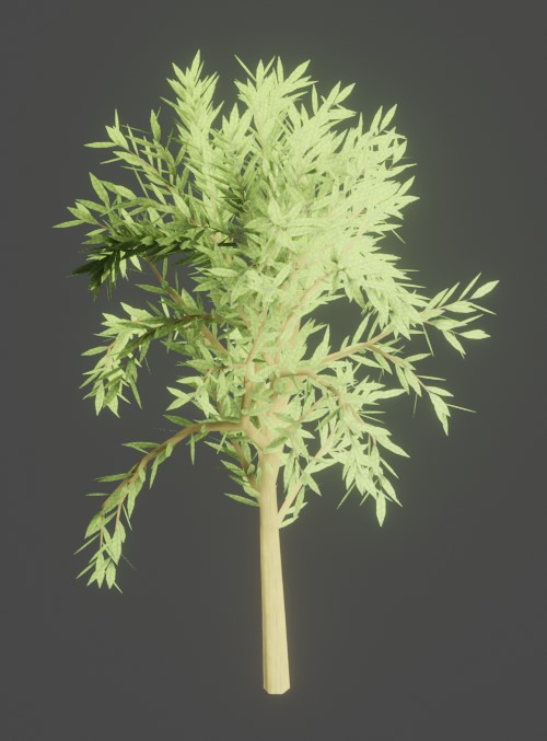 Tree 28
