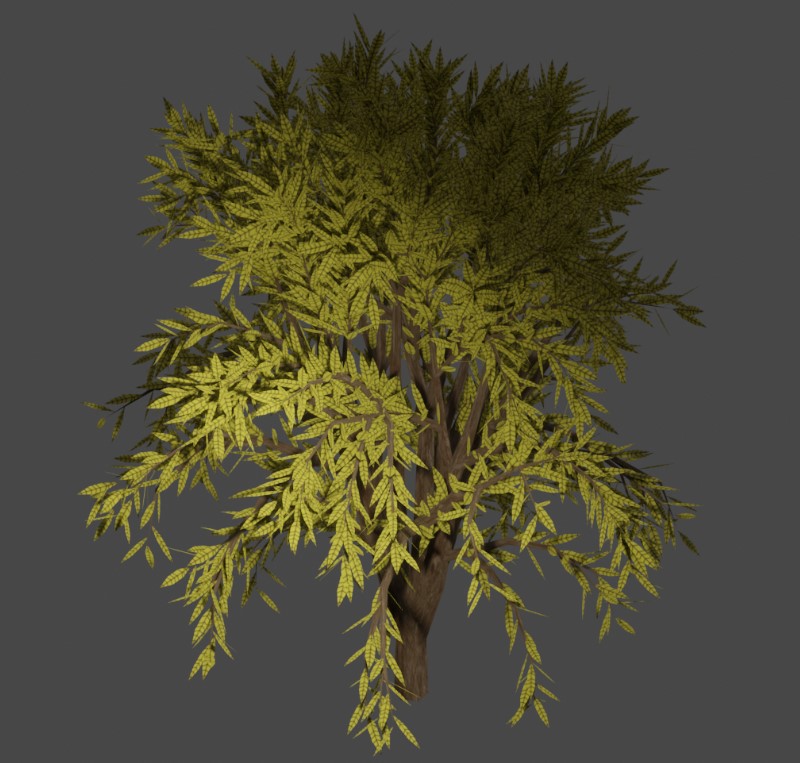Tree 29
