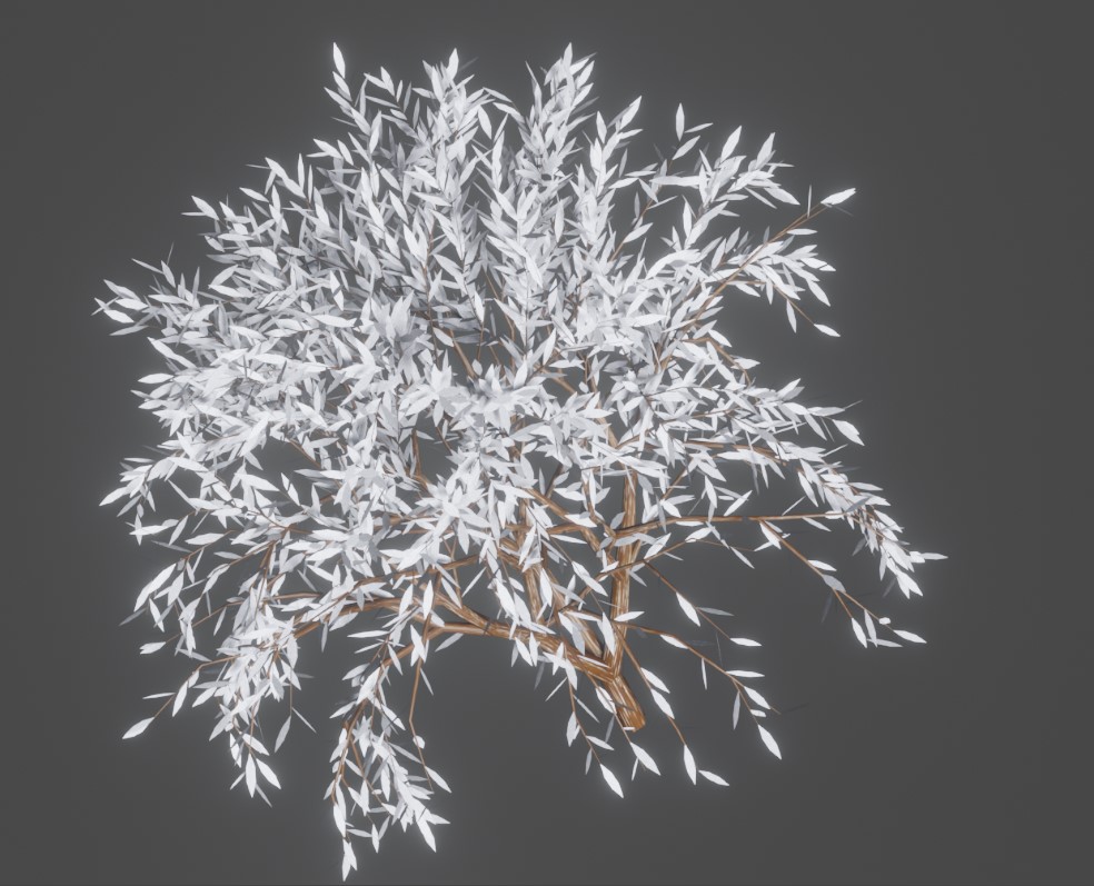 Tree in the snow 6