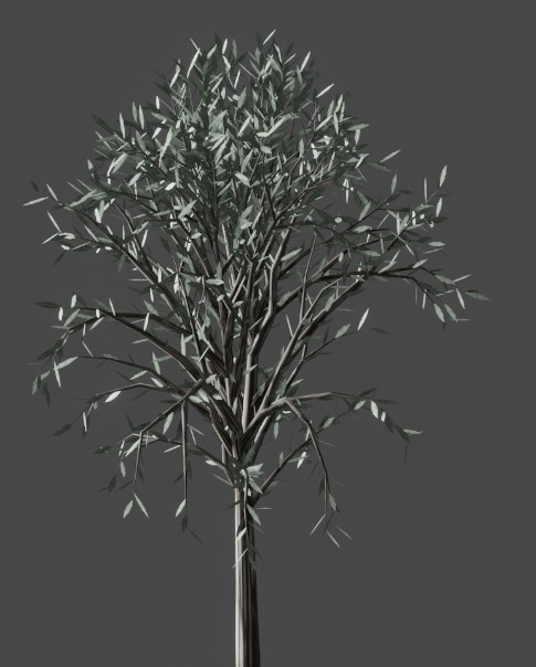 Tree in the snow 7