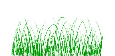 Grass 2
