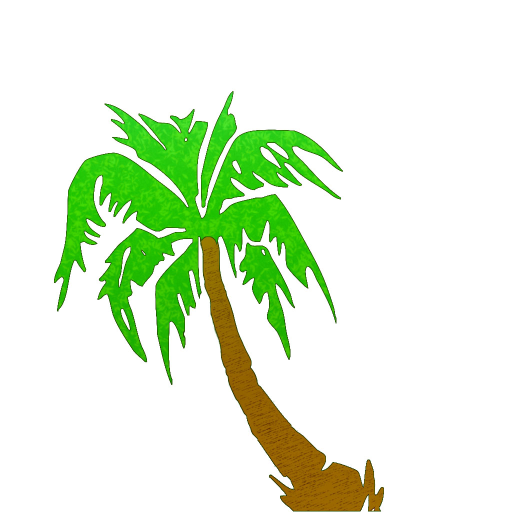 Palm 2