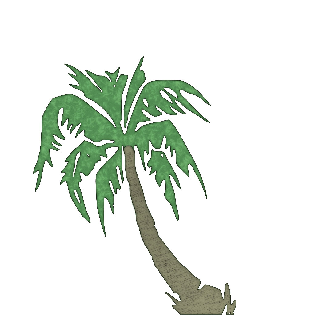 Palm 3