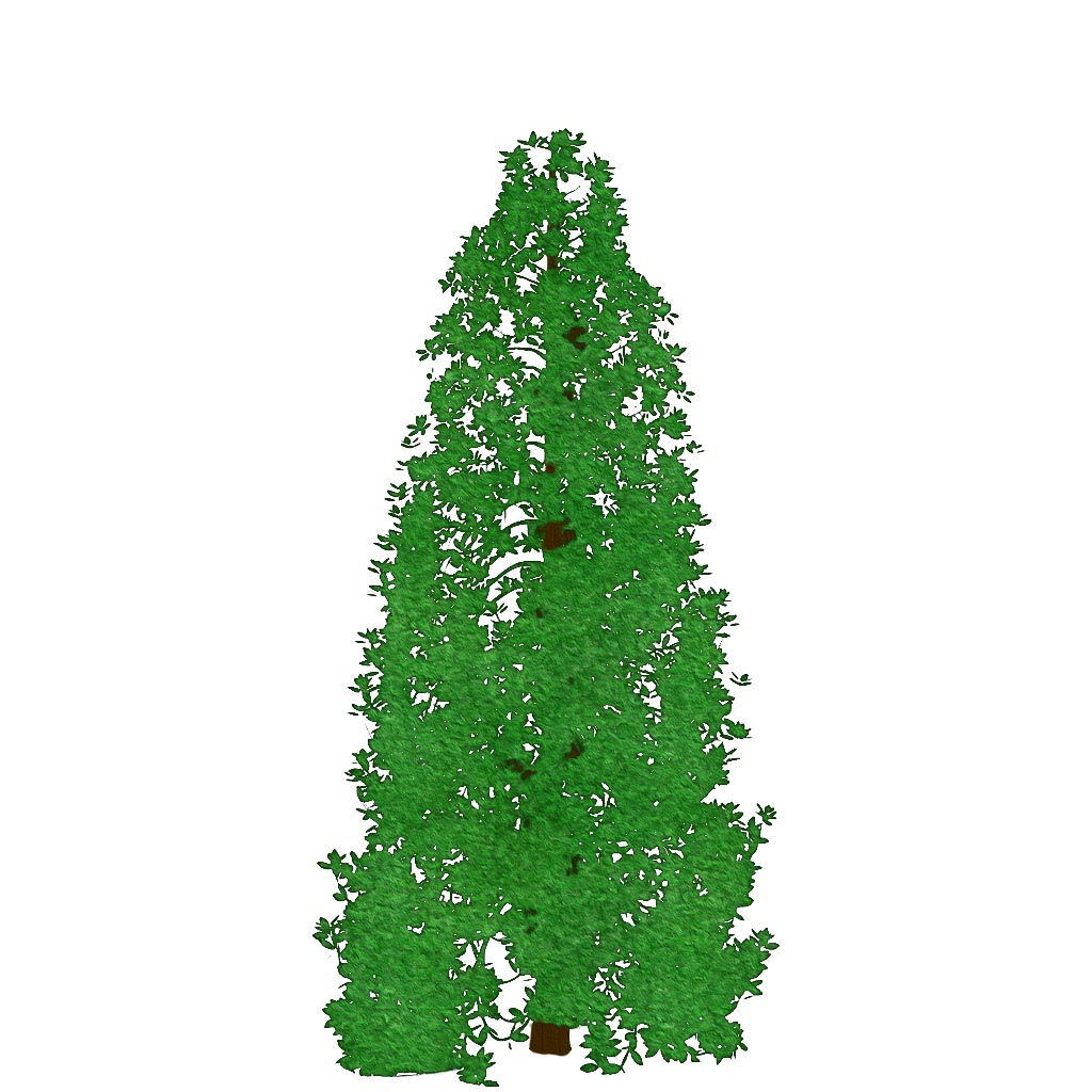 Tree sprite 28