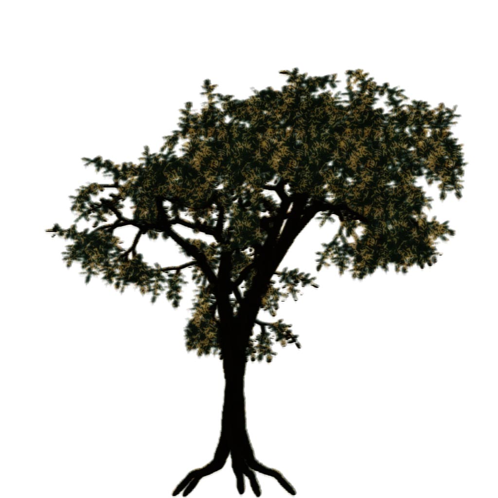 Tree sprite 37