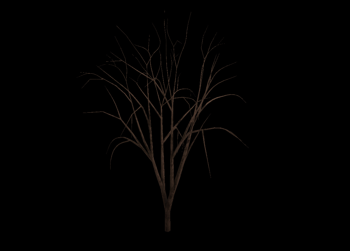 Winter tree 4