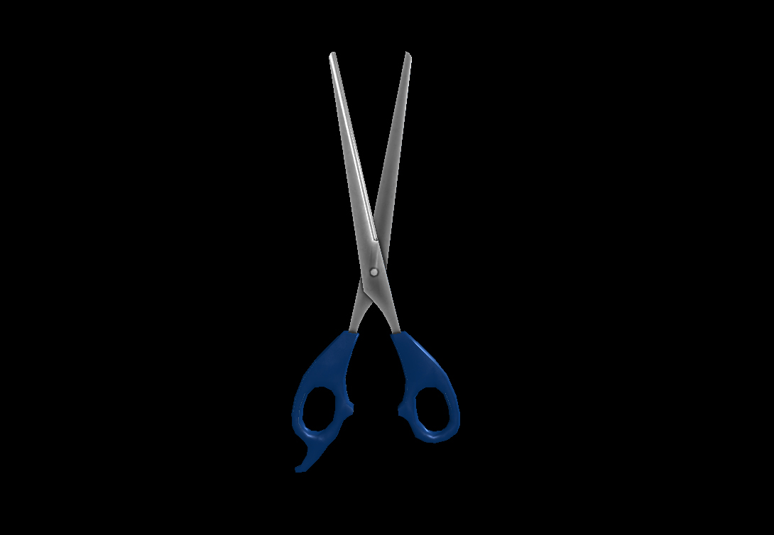Scissors