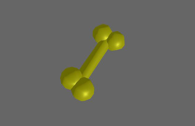 Bone