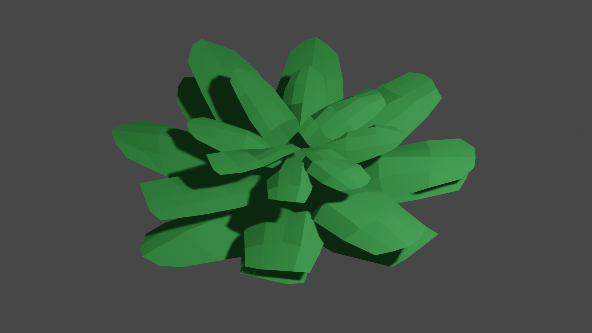 Bush 13