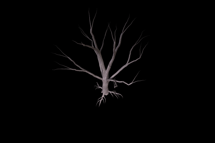 old dry wood 2