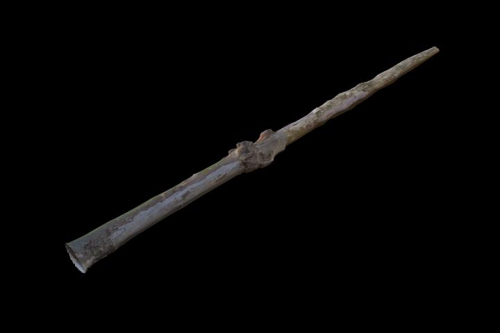 old dry wood 4