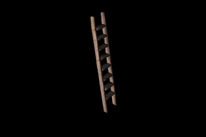 wooden ladder