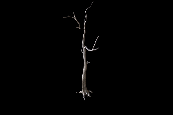 dead tree