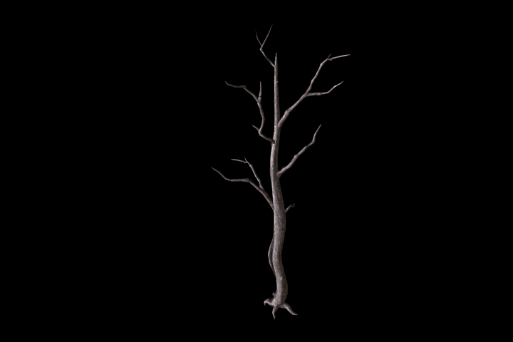 dead tree 2