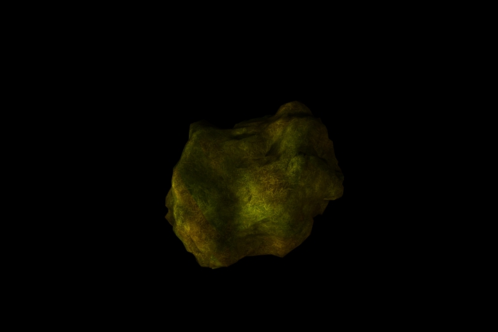 stone in the moss