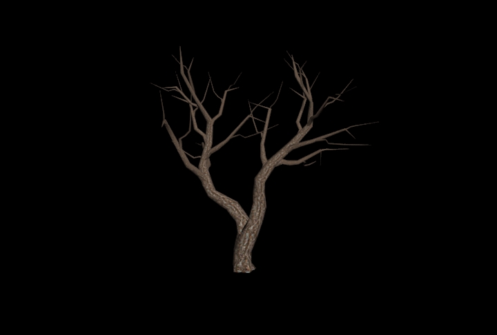 tree without leaves