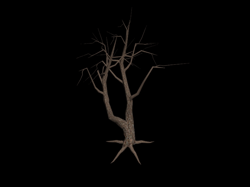 tree without leaves 2