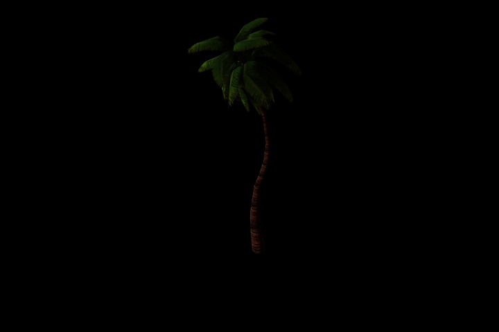 palm