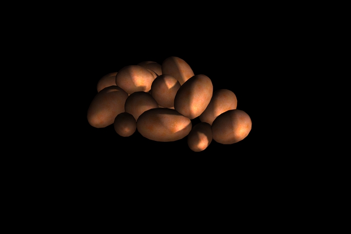 reptile eggs