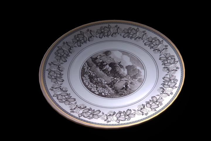 plate