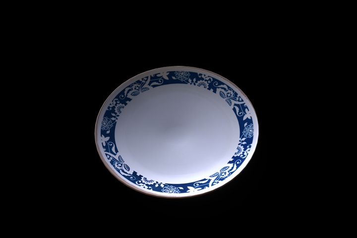 plate4