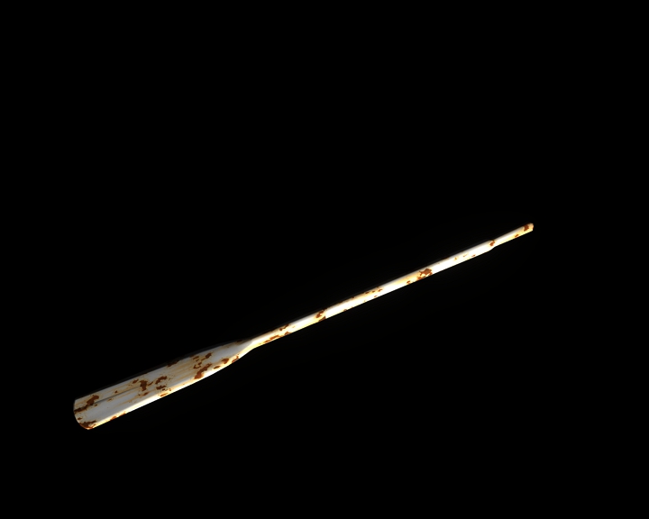 boat oar 2