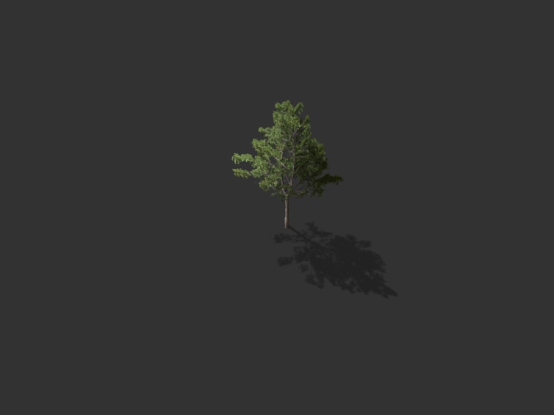 2D sprite of a tree (isometric) 9