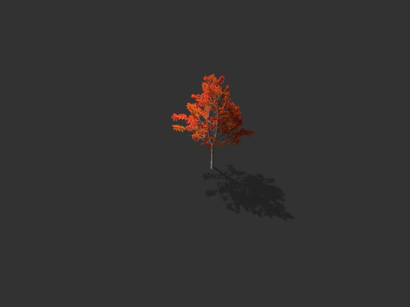 2D sprite of a tree (isometric) 10