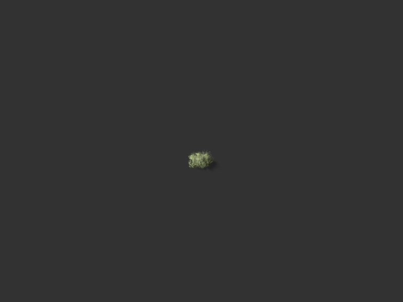 2D sprite of a tree (isometric) 14